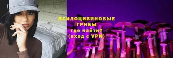mdpv Медвежьегорск