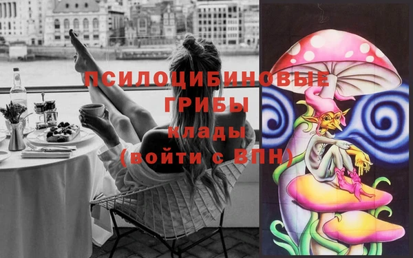 ALPHA PVP Козельск