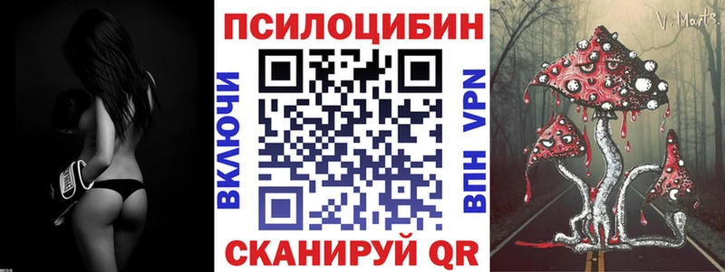 Псилоцибиновые грибы Cubensis  как найти закладки  Звенигово 